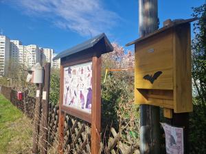Fledermauskasten in der KGA "Freiheit" in Neukölln. Copyright: BEA