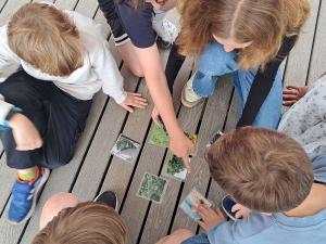 Impression vom Energieeinsparprogramm an Potsdamer Schulen (EEP). Copyright: Svenja Wallenstein/BEA.