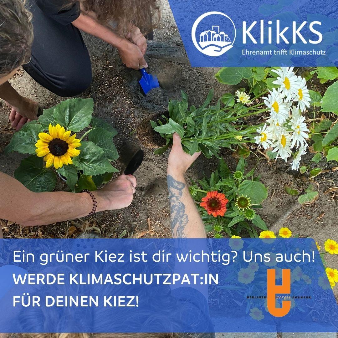 Grüner Kiez